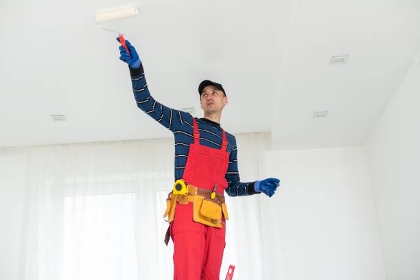 Best Emergency Mold Remediation  in South Connellsville, PA