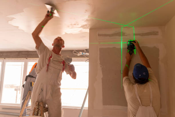 Best Post-Construction Mold Inspection  in South Connellsville, PA